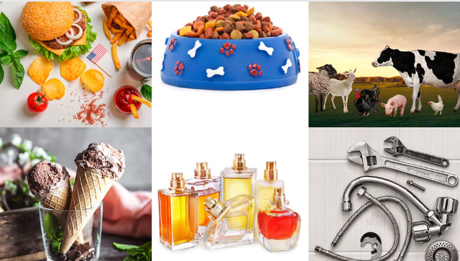 Camlin Fine Sciences